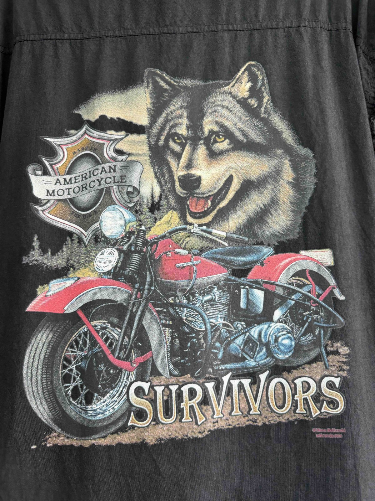 Survivor .jpeg